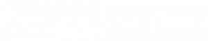 The New York Times_converted